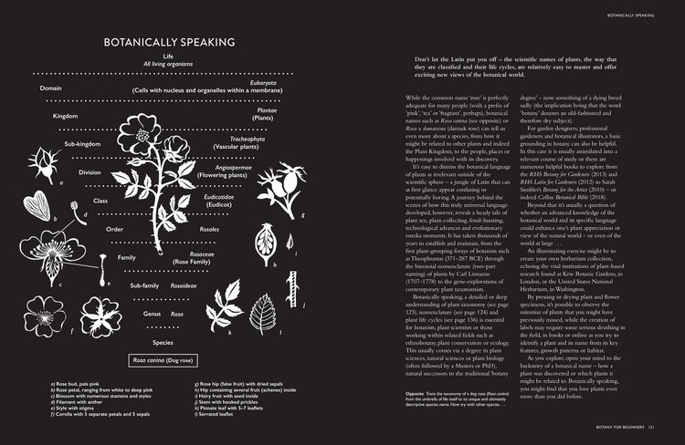 Produktbild: Collins Botanical Bible