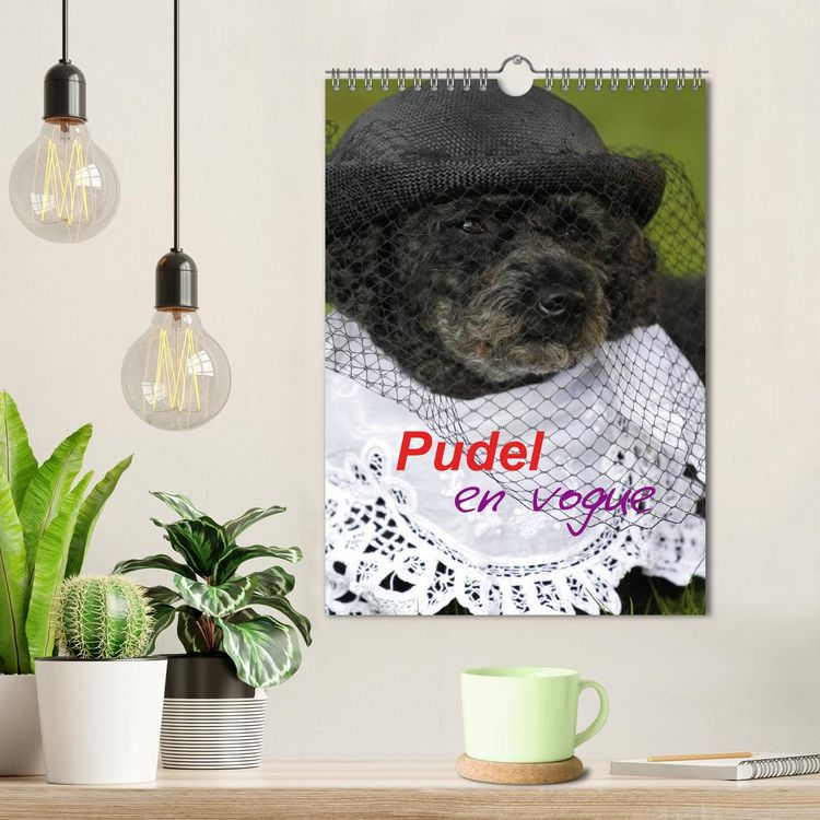 Produktbild: Pudel en vogue (Wandkalender 2026 DIN A4 hoch), CALVENDO Monatskalender