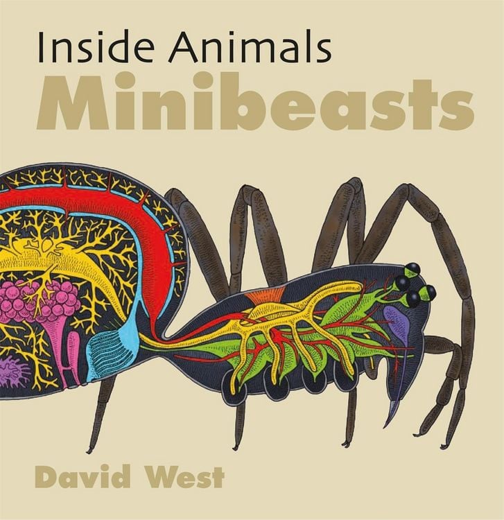 Produktbild: West, D: Inside Animals: Minibeasts