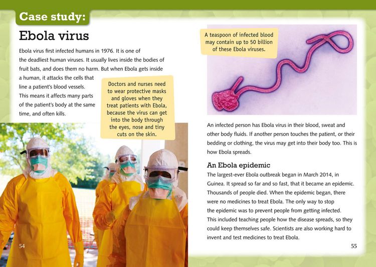 Produktbild: The Mysterious World of Microorganisms