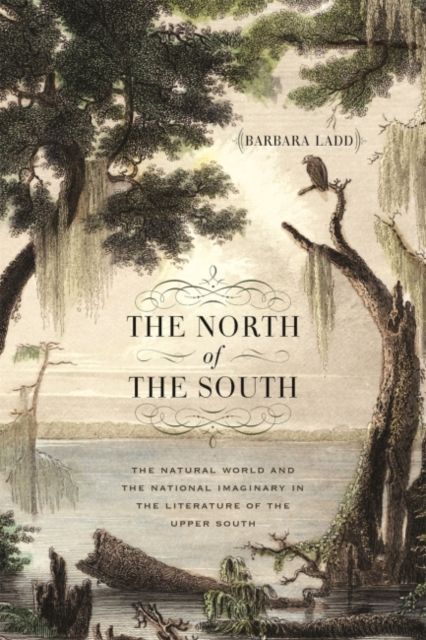 Produktbild: The North of the South
