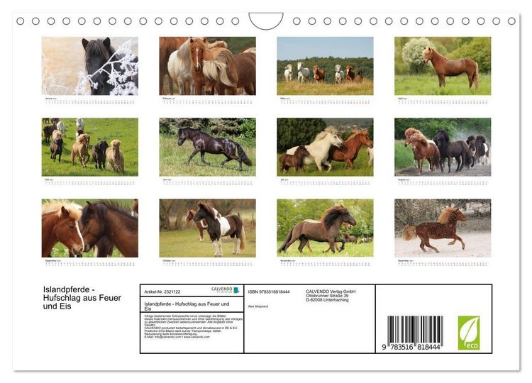 Produktbild: Islandpferde - Hufschlag aus Feuer und Eis (Wandkalender 2027 DIN A4 quer), CALVENDO Monatskalender