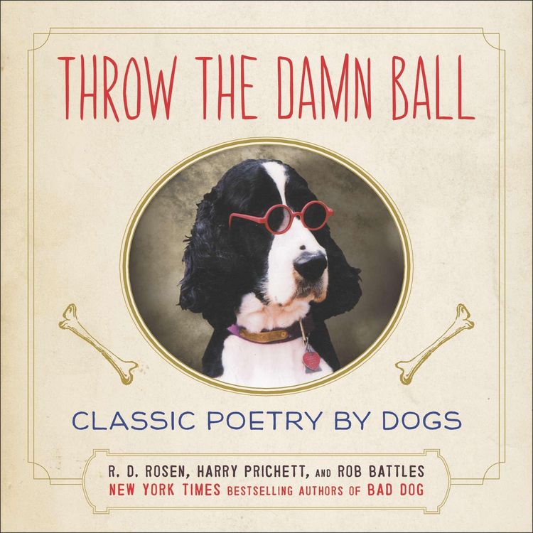 Produktbild: Throw The Damn Ball