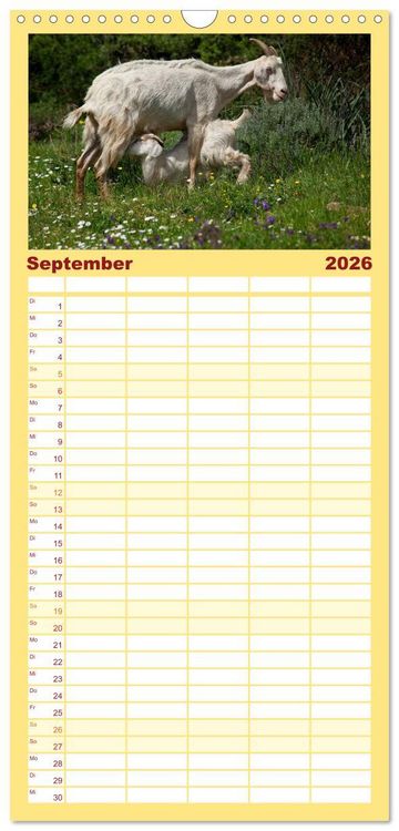 Produktbild: Familienplaner 2026 - Tierbabys 2026 mit 5 Spalten (Wandkalender, 21 x 45 cm) CALVENDO