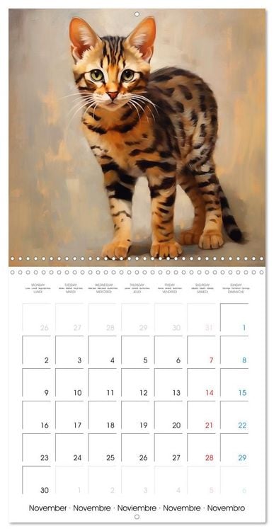 Produktbild: Illustrations Chatons (Calendrier mural carr&eacute; 2026 30x30 cm) Calendrier double avec une page pour vos prises de notes