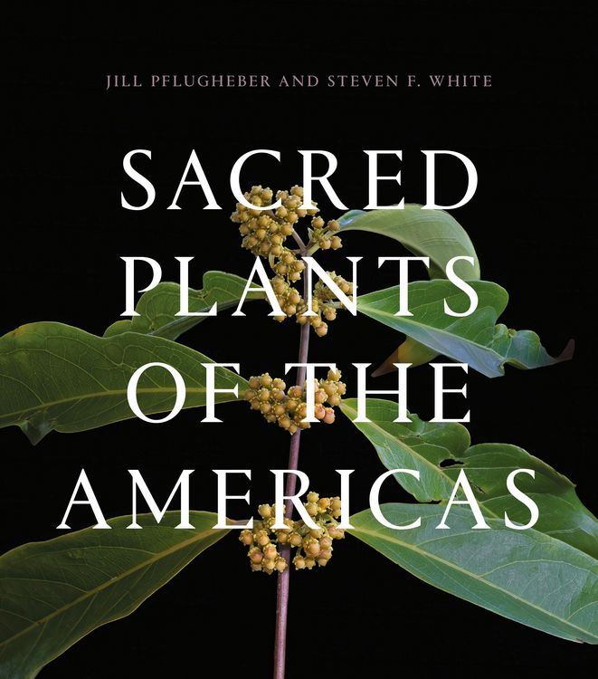 Produktbild: Sacred Plants of the Americas