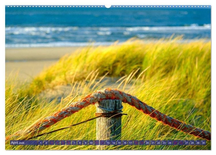 Produktbild: Ein Blick auf die Insel Texel (Wandkalender 2026 DIN A2 quer), CALVENDO Monatskalender