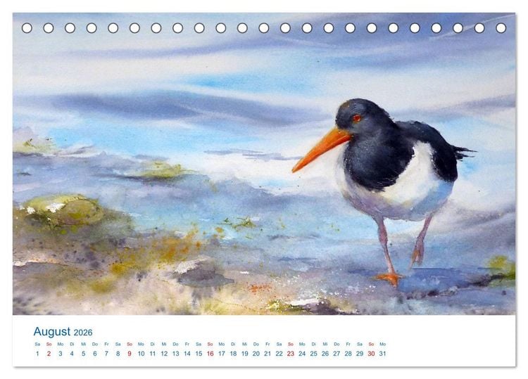 Produktbild: F&ouml;hr - Aquarelle (Tischkalender 2026 DIN A5 quer), CALVENDO Monatskalender