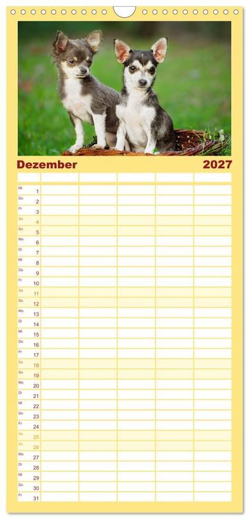 Produktbild: Familienplaner 2027 - Enegieb&uuml;ndel Chihuahua - Temperament auf vier Pfoten mit 5 Spalten (Wandkalender, 21 x 45 cm) CALVENDO