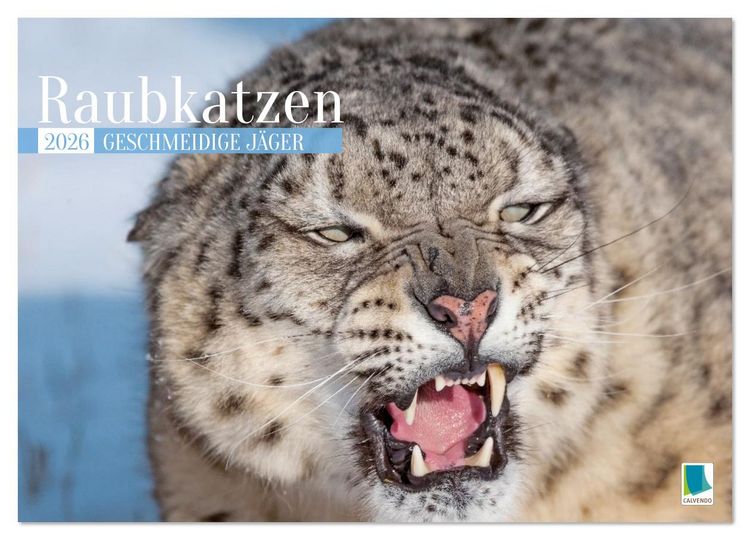 Produktbild: Raubkatzen: Geschmeidige J&auml;ger (Wandkalender 2026 DIN A3 quer), CALVENDO Monatskalender