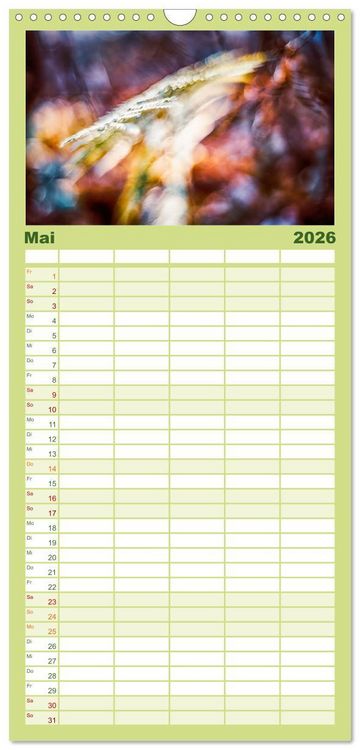 Produktbild: Familienplaner 2026 - Farne vom Licht umtanzt mit 5 Spalten (Wandkalender, 21 x 45 cm) CALVENDO