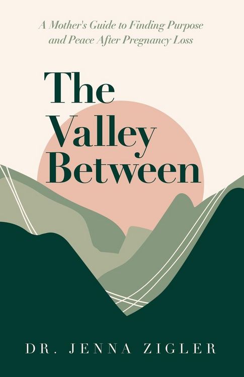 Produktbild: The Valley Between