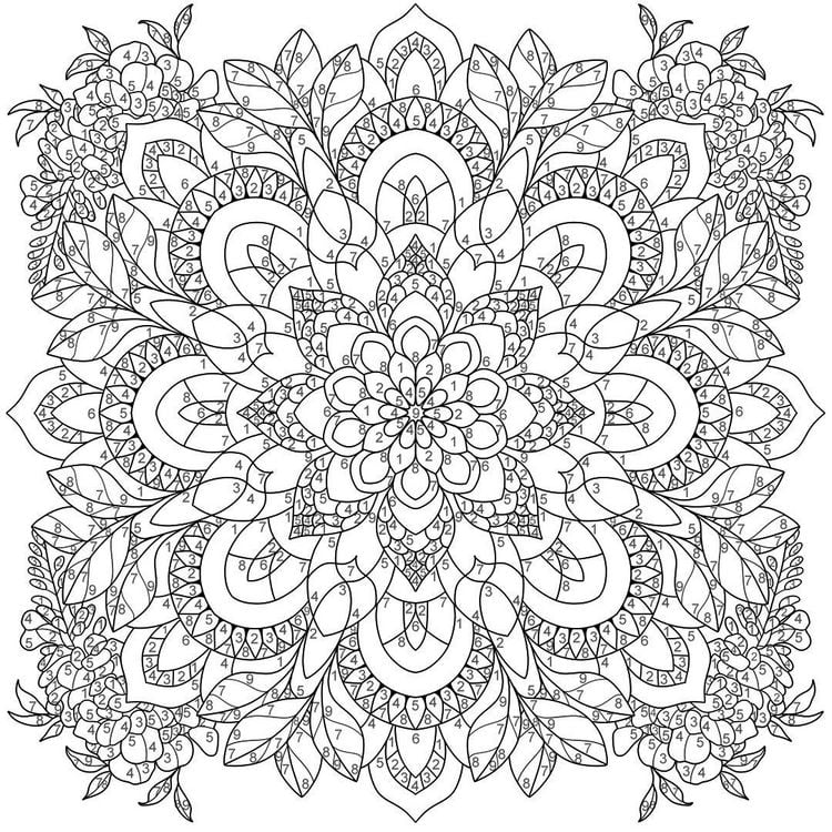 Produktbild: Mandala-Reise