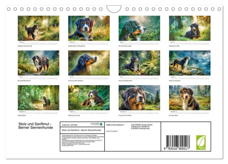 Produktbild: Stolz und Sanftmut - Berner Sennenhunde (Wandkalender 2027 DIN A4 quer), CALVENDO Monatskalender