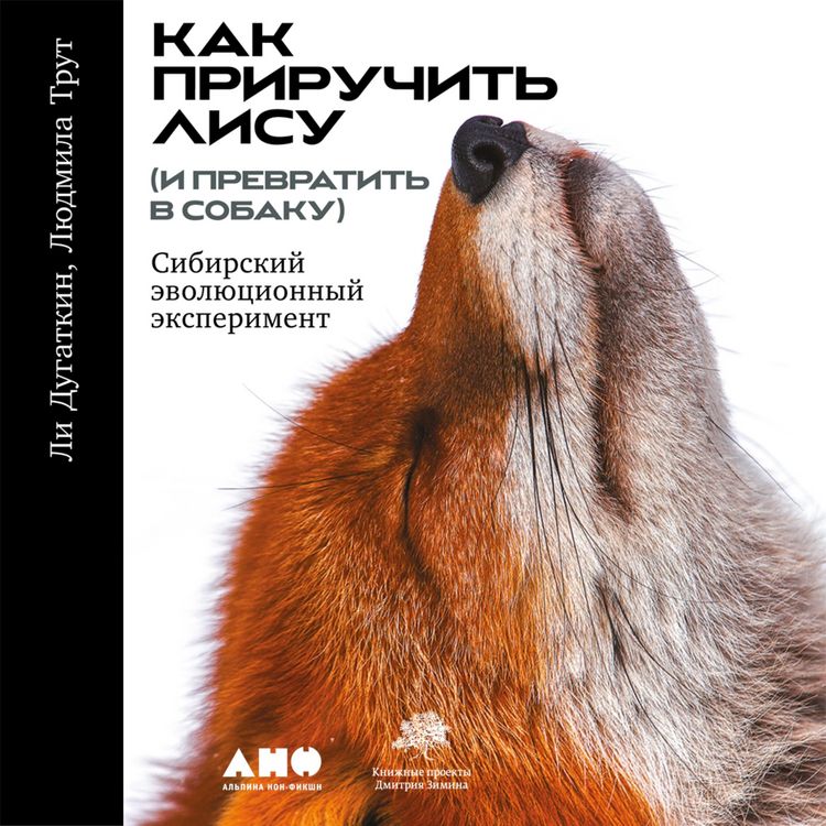 Produktbild: How to Tame a Fox (and Build a Dog): Visionary Scientists and a Siberian Tale of Jump-Started Evolution