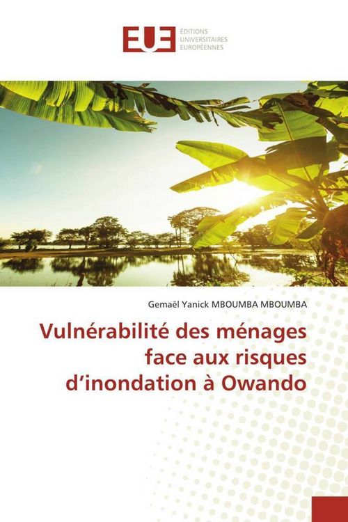Produktbild: Vuln&eacute;rabilit&eacute; des m&eacute;nages face aux risques d'inondation &agrave; Owando