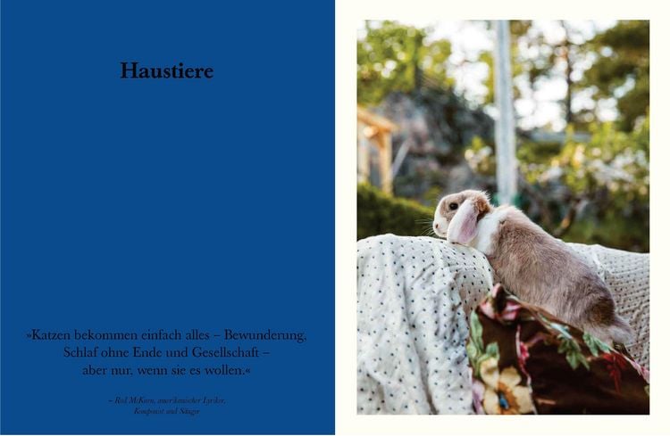 Produktbild: Wo Zuhause beginnt