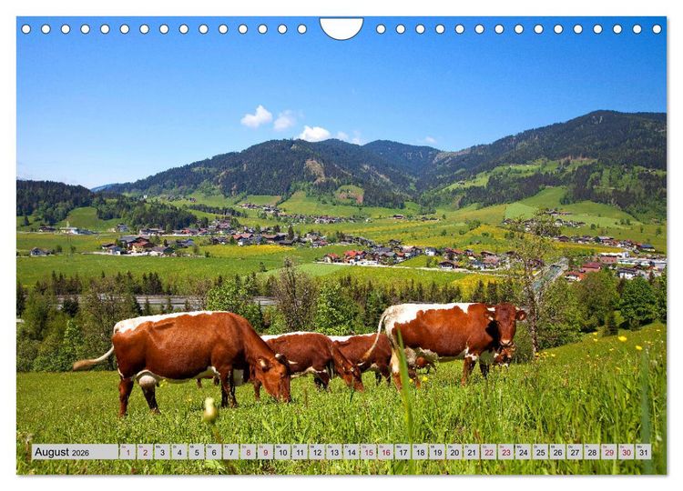 Produktbild: Herzliche Gr&uuml;&szlig;e aus Flachau (Wandkalender 2026 DIN A4 quer), CALVENDO Monatskalender