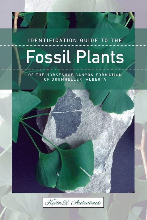Produktbild: Identification Guide to the Fossil Plants of the Horseshoe Canyon Formation of Drumheller, Alberta (New)