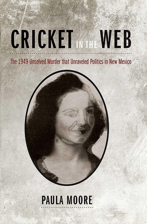 Produktbild: Cricket in the Web