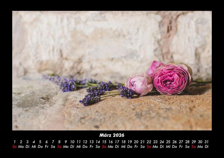 Produktbild: Blumentr&auml;ume 2026 Fotokalender DIN A3