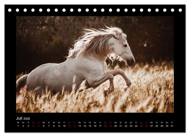 Produktbild: Die Faszinierende Welt der Pferde (Tischkalender 2026 DIN A5 quer), CALVENDO Monatskalender