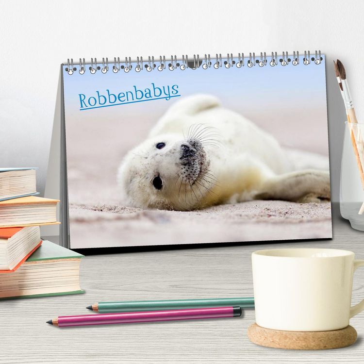 Produktbild: Robbenbabys (Tischkalender 2026 DIN A5 quer), CALVENDO Monatskalender