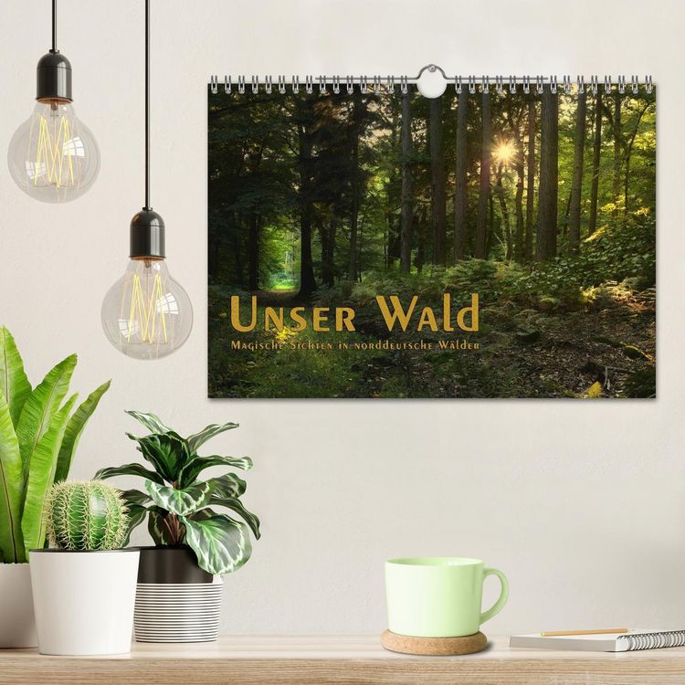 Produktbild: Unser Wald - Magische Sichten in norddeutsche W&auml;lder / Geburtstagskalender (Wandkalender 2026 DIN A4 quer), CALVENDO Monatskalender