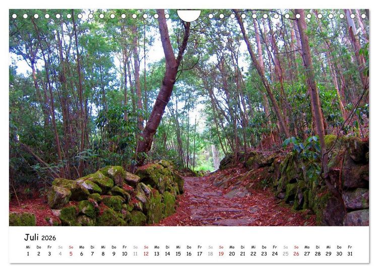 Produktbild: Jakobsweg - Camino Portugues (Wandkalender 2026 DIN A4 quer), CALVENDO Monatskalender