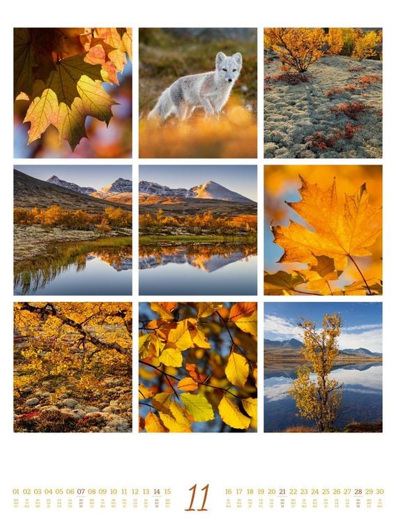 Produktbild: Inspiration Natur Kalender 2027