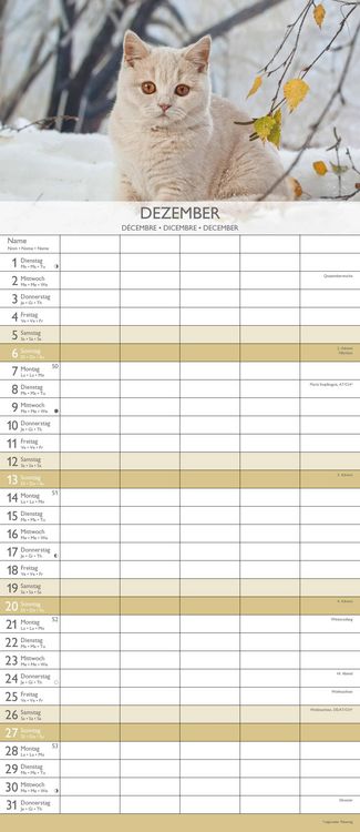 Kätzchen 2026 Familienplaner - Familienkalender - Wandkalender - 19,5x45