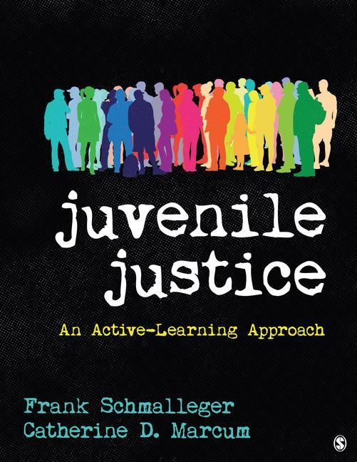 Produktbild: Juvenile Justice: An Active-Learning Approach