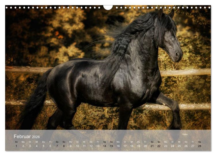 Produktbild: Pferde - Anmut und St&auml;rke gepaart mit Magie (Wandkalender 2026 DIN A3 quer), CALVENDO Monatskalender