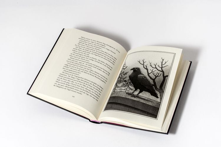 Produktbild: School of Witches - Die Zeit der Hexen