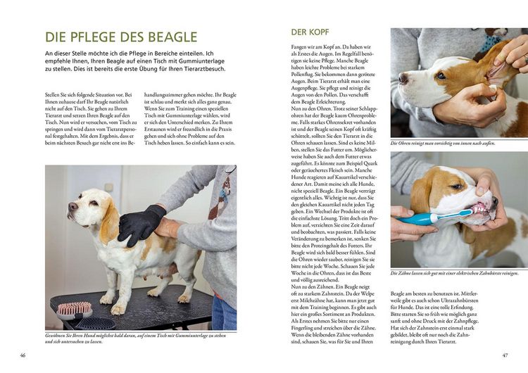 Produktbild: Beagle
