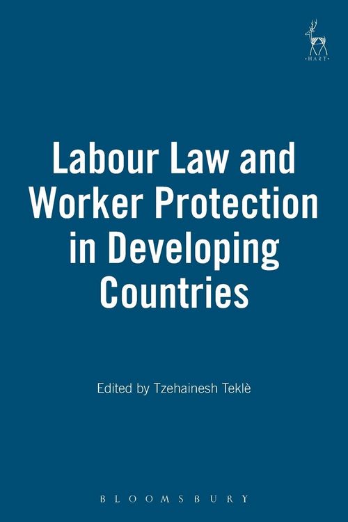 Produktbild: Labour Law and Worker Protection in Developing Countries