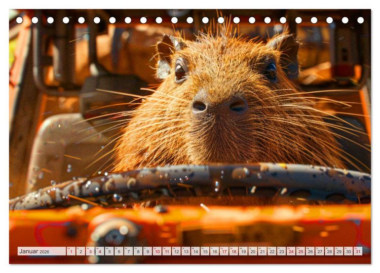 Produktbild: Capybaras im Alltag - Ein Jahr voller Abenteuer (Tischkalender 2026 DIN A5 quer), CALVENDO Monatskalender