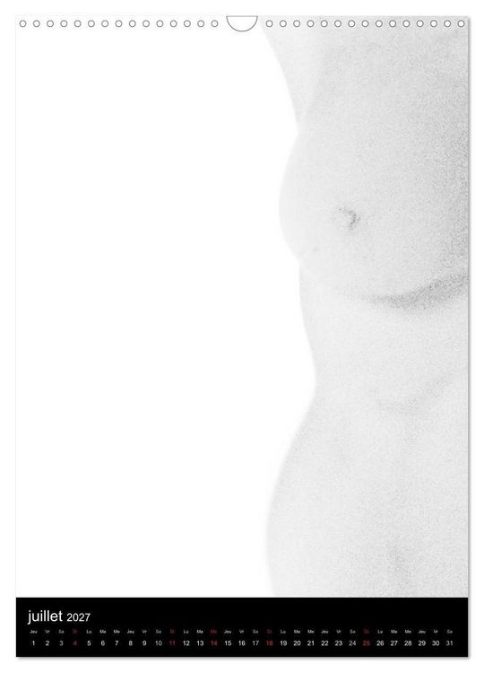 Produktbild: F&eacute;minit&eacute; (Calendrier mural 2027 DIN A3 horizontal), CALVENDO calendrier mensuel