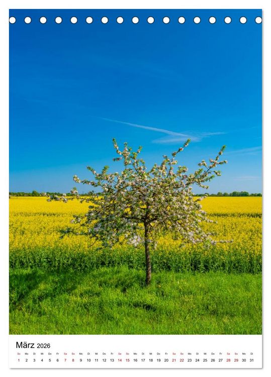 Produktbild: Magdeburg - Die sch&ouml;nsten Momente (Tischkalender 2026 DIN A5 hoch), CALVENDO Monatskalender