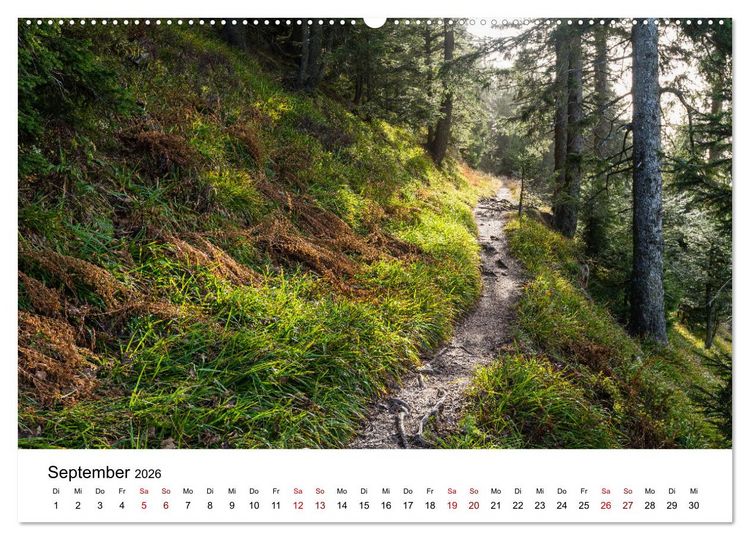 Produktbild: Freiburg, Drumherum (hochwertiger Premium Wandkalender 2026 DIN A2 quer), Kunstdruck in Hochglanz