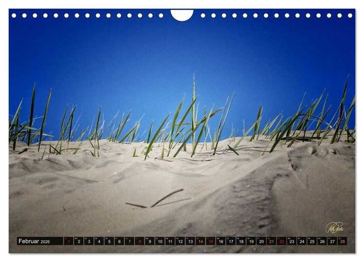 Produktbild: Nordsee-D&uuml;nen (Wandkalender 2026 DIN A4 quer), CALVENDO Monatskalender