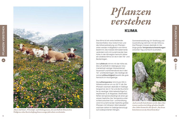 Produktbild: Praxisf&uuml;hrer Almpflanzen