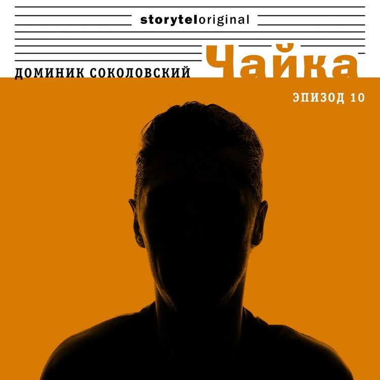 Produktbild: Чайка - Серия 10 - В блеске вспышек