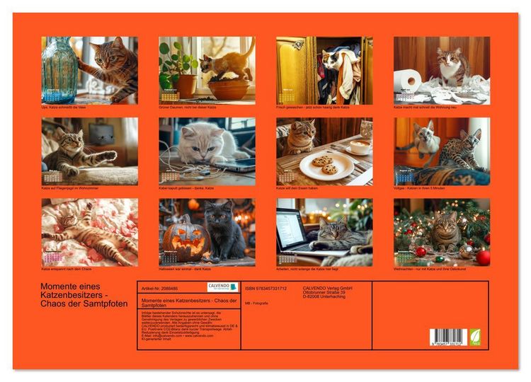 Produktbild: Momente eines Katzenbesitzers - Chaos der Samtpfoten (Wandkalender 2026 DIN A2 quer), CALVENDO Monatskalender