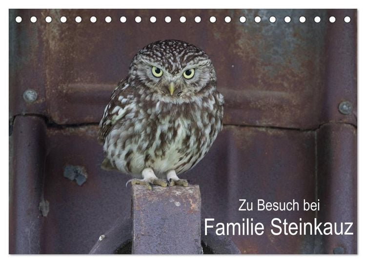 Produktbild: Zu Besuch bei Familie Steinkauz (Tischkalender 2026 DIN A5 quer), CALVENDO Monatskalender