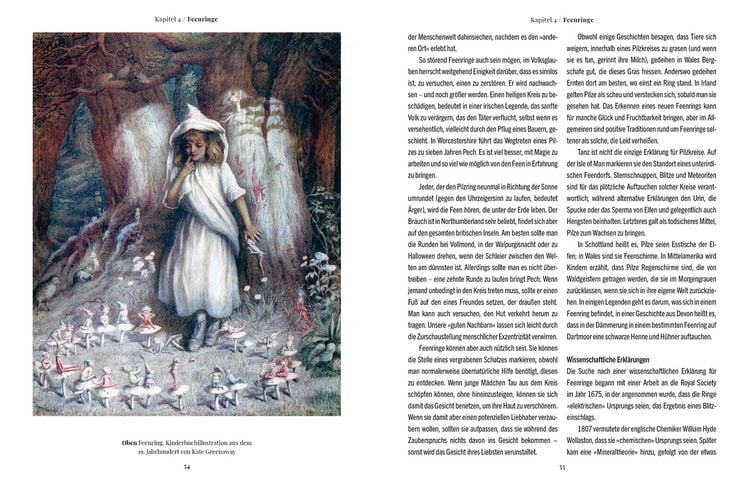 Produktbild: Die Magie der Pilze
