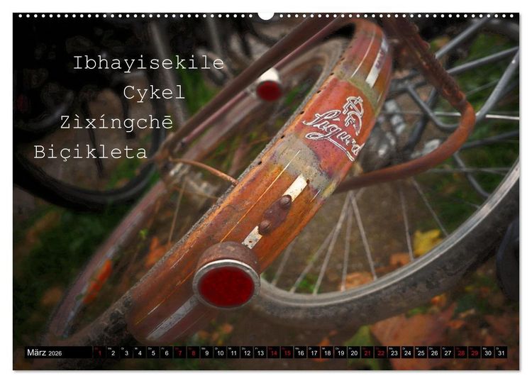 Produktbild: Weltfahrrad (Wandkalender 2026 DIN A2 quer), CALVENDO Monatskalender