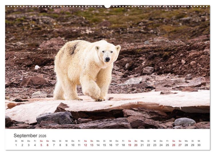 Produktbild: Naturparadies Svalbard (Wandkalender 2026 DIN A2 quer), CALVENDO Monatskalender