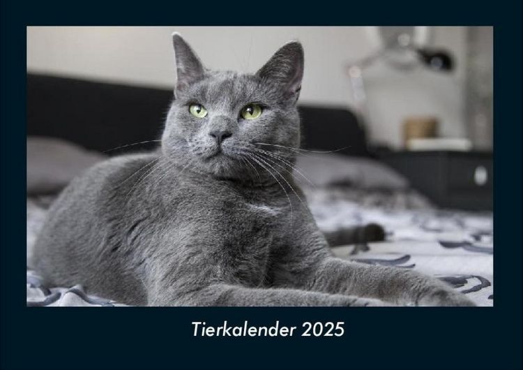 Produktbild: Tierkalender 2025 Fotokalender DIN A4