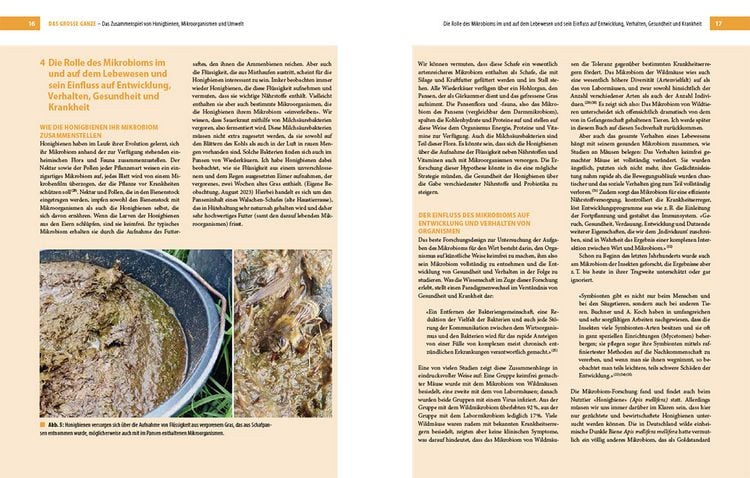 Produktbild: Bienenbau und Bienenbeute
